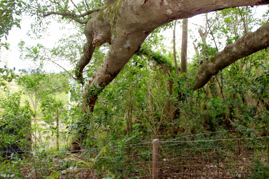 4 Bedroom Property for Sale in Bathurst Eastern Cape